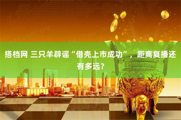 搭档网 三只羊辟谣“借壳上市成功”，距离复播还有多远？
