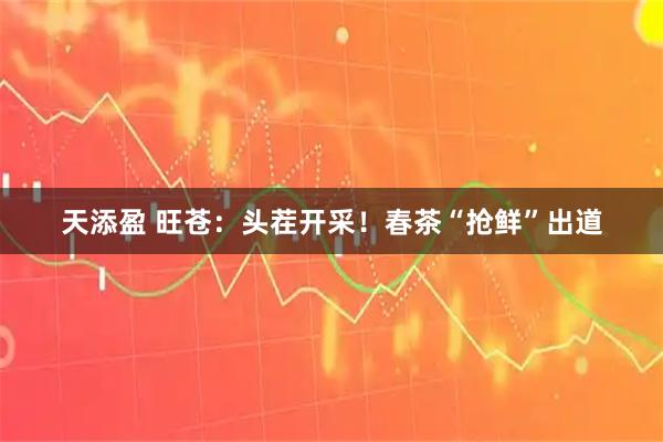 天添盈 旺苍：头茬开采！春茶“抢鲜”出道