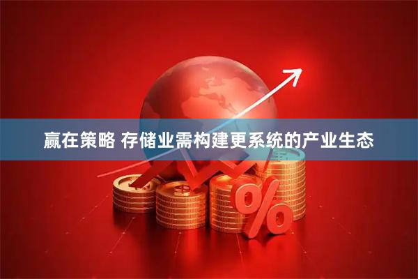 赢在策略 存储业需构建更系统的产业生态