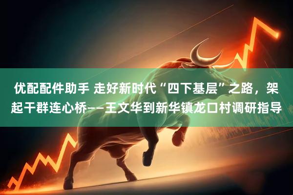 优配配件助手 走好新时代“四下基层”之路，架起干群连心桥——王文华到新华镇龙口村调研指导