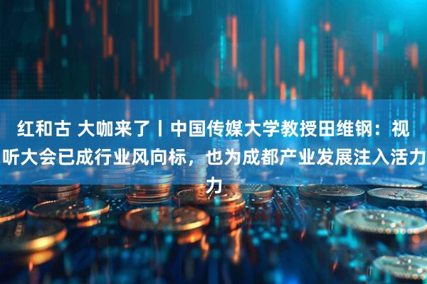 红和古 大咖来了丨中国传媒大学教授田维钢：视听大会已成行业风向标，也为成都产业发展注入活力