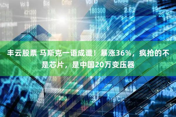 丰云股票 马斯克一语成谶!暴涨36%,疯抢的不是芯片,是中国20万变压器