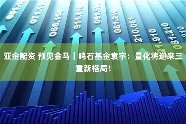 亚金配资 预见金马｜鸣石基金袁宇：量化将迎来三重新格局！