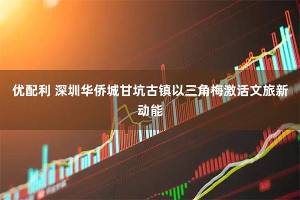 优配利 深圳华侨城甘坑古镇以三角梅激活文旅新动能