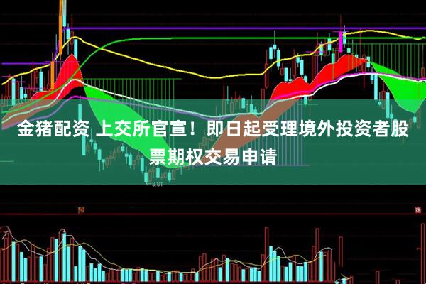 金猪配资 上交所官宣！即日起受理境外投资者股票期权交易申请