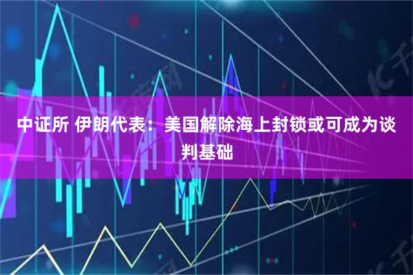 中证所 伊朗代表：美国解除海上封锁或可成为谈判基础