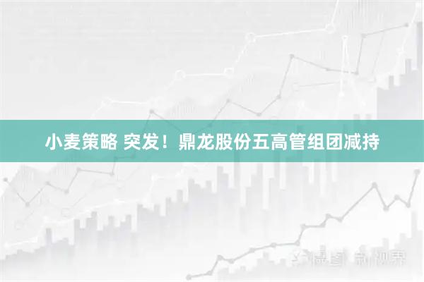 小麦策略 突发！鼎龙股份五高管组团减持