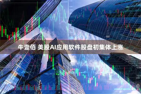 牛壹佰 美股AI应用软件股盘初集体上涨