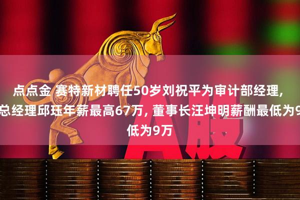 点点金 赛特新材聘任50岁刘祝平为审计部经理, 副总经理邱珏年薪最高67万, 董事长汪坤明薪酬最低为9万