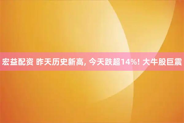 宏益配资 昨天历史新高, 今天跌超14%! 大牛股巨震